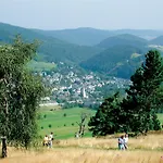Holiday home Diemelquelle - Mit Eingezaeuntem Garten Willingen (Upland)