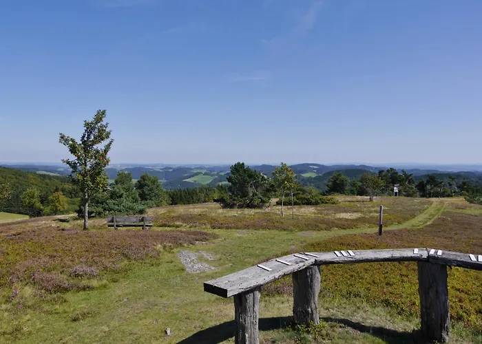 Diemelquelle - Mit Eingezaeuntem Garten Willingen (Upland)